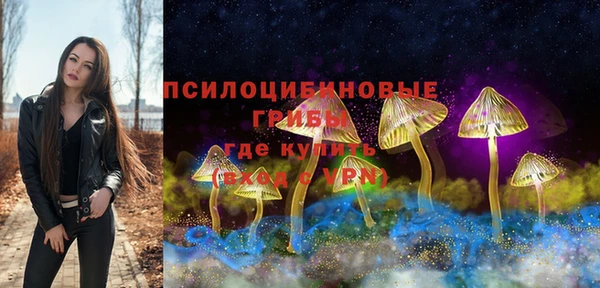 прущая мука Верея