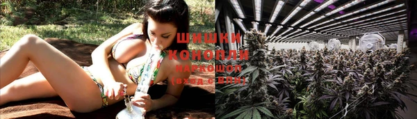 герыч Новозыбков
