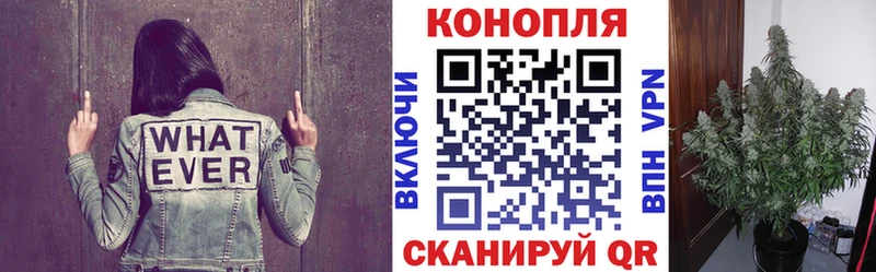 Конопля VHQ  Барнаул 